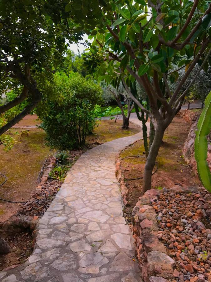 Villa La Torreta Ref 056 卡斯特利翁-德拉普拉纳 外观 照片