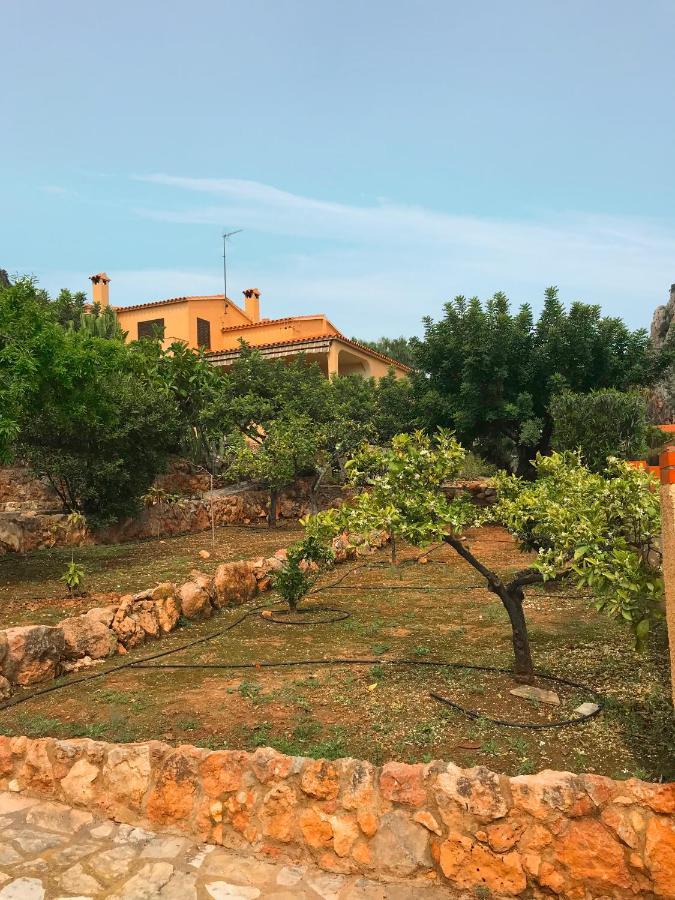 Villa La Torreta Ref 056 卡斯特利翁-德拉普拉纳 外观 照片