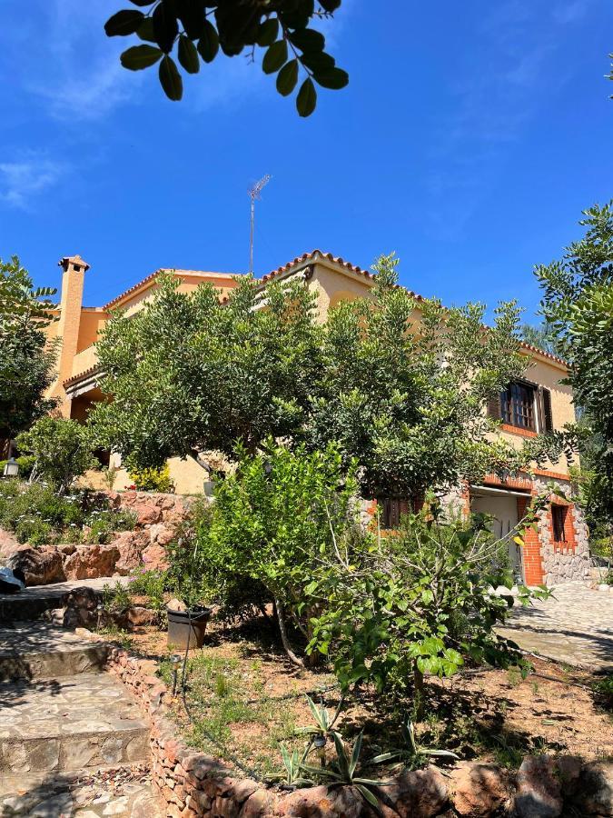 Villa La Torreta Ref 056 卡斯特利翁-德拉普拉纳 外观 照片