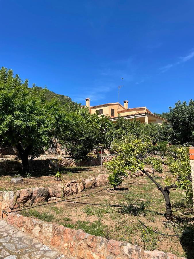 Villa La Torreta Ref 056 卡斯特利翁-德拉普拉纳 外观 照片
